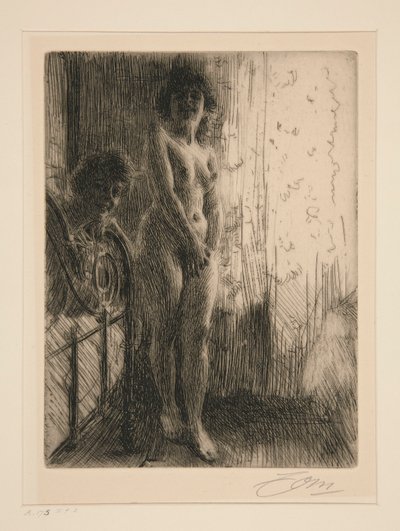 Eine dunkle Ecke von Anders Leonard Zorn