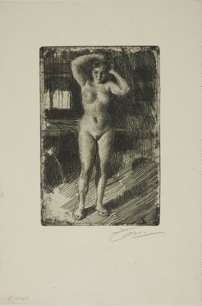Anna macht ihr Haar von Anders Leonard Zorn