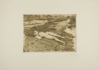 Am Strand von Anders Leonard Zorn