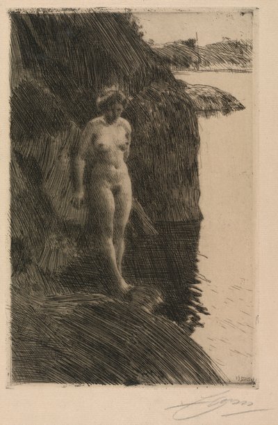 Abgrund von Anders Leonard Zorn