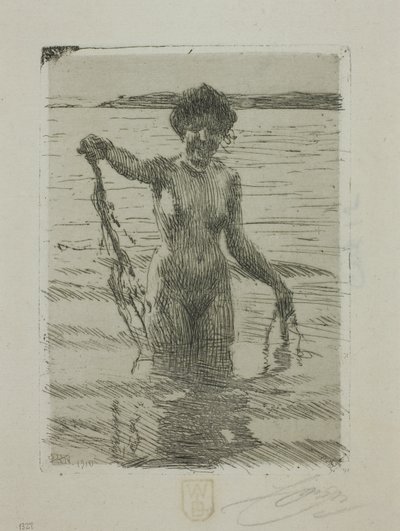 Seetang von Anders Leonard Zorn