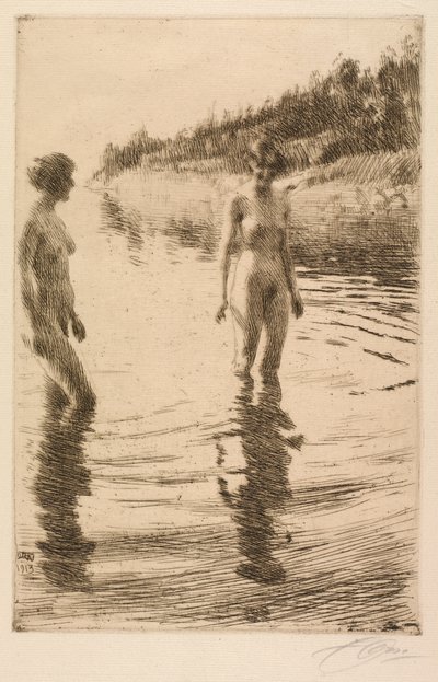 Flach von Anders Leonard Zorn