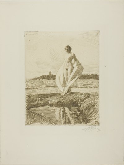 Der Schwan von Anders Leonard Zorn