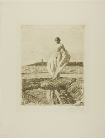 Der Schwan von Anders Leonard Zorn