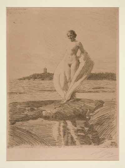 Der Schwan von Anders Leonard Zorn