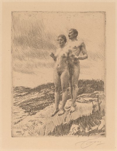 Die Zwei von Anders Leonard Zorn
