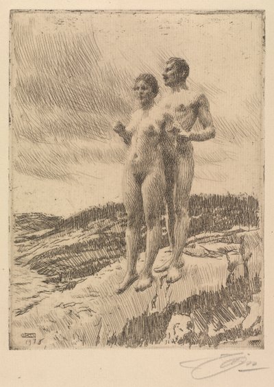 Die Zwei von Anders Leonard Zorn