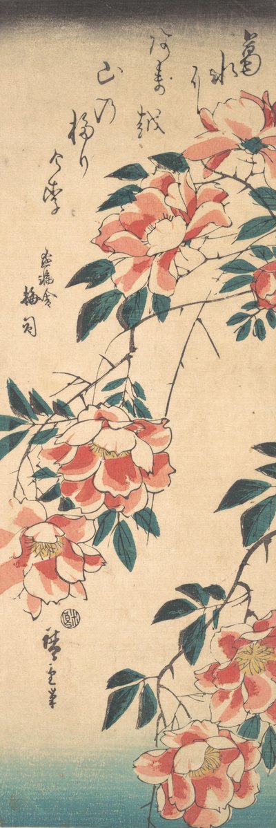 Rosen, ca. 1843 von Ando Hiroshige