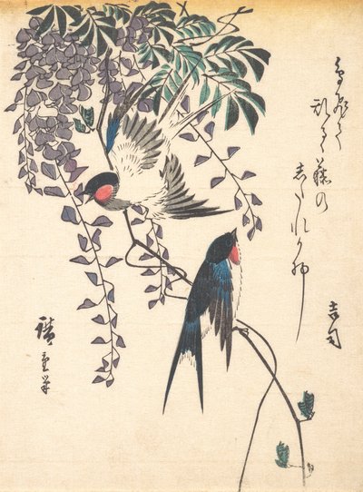 Schwalbe und Glyzinie, Mitte der 1840er Jahre von Ando Hiroshige