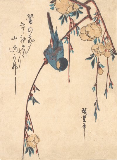 Weinende Kirsche von Ando Hiroshige