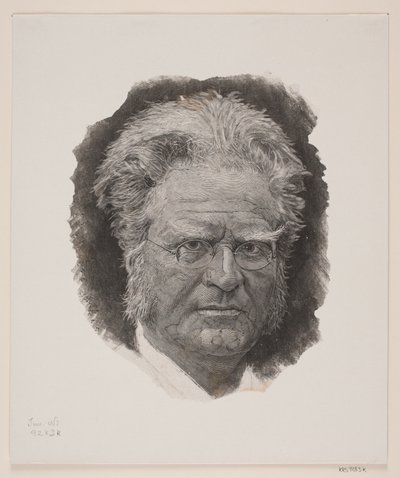 Bjørnstjerne Bjørnson von André Bork