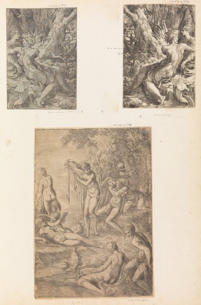 Badende Nymphen, möglicherweise ca. 1545-50 von Andrea Schiavone