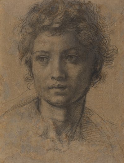 Kopf von Johannes dem Täufer von Andrea del Sarto