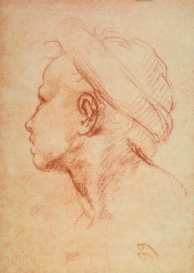 Kopf eines jungen Mannes im Profil von Andrea del Sarto