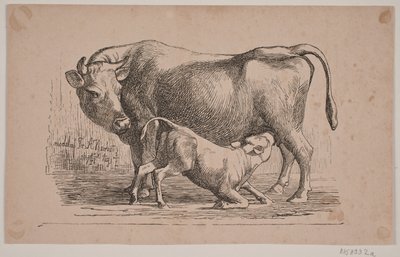 Die Kuh und das Kalb von Andreas Flinch