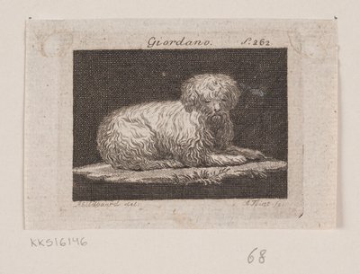 Giordano, ein liegender Hund von Andreas Flint