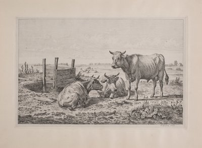 Ein Stier und zwei Kühe von Andreas Peter Madsen