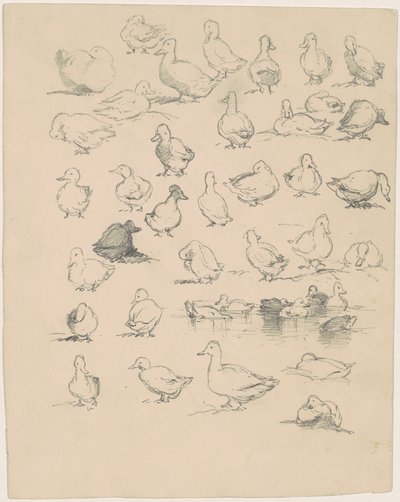 Enten von Andrew Fisher Bunner