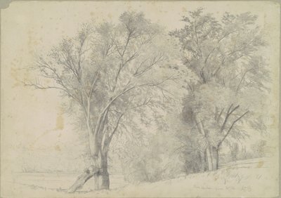 Ulmen, Hudson von Andrew Fisher Bunner
