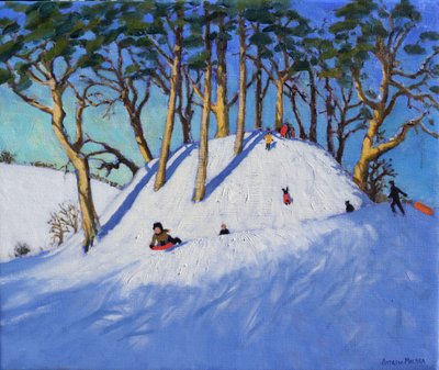 Weihnachtsschlittenfahren von Andrew Macara