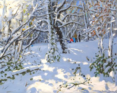 Weihnachtsschlittenfahren in Allestree Woods von Andrew Macara