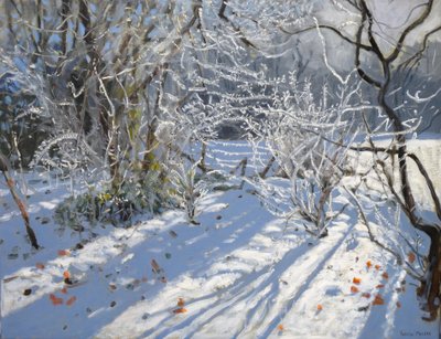 Raureif, 2011 von Andrew Macara