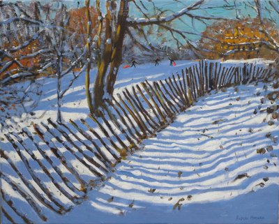 Schiefe Zaun, 2011 von Andrew Macara