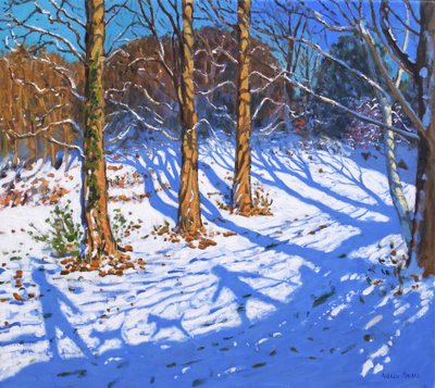 Novemberschnee, Allestree Park, Derby von Andrew Macara
