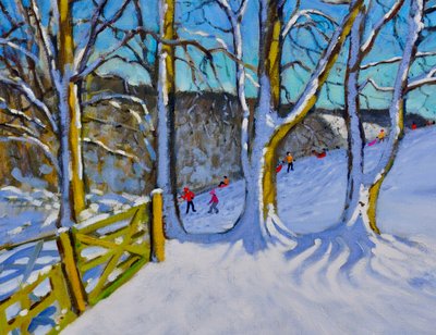 Schlittenfahren, Dam Lane, Derbyshire von Andrew Macara