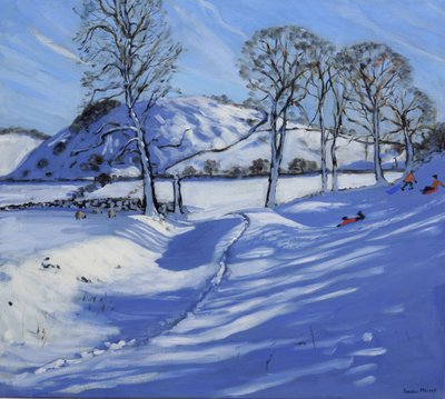 Schlittenfahren, Derbyshire Peak District, 2012 von Andrew Macara