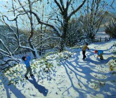 Schneeballschlacht, Derbyshire von Andrew Macara
