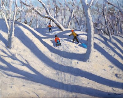 Winter, Bramcote, Nottingham von Andrew Macara