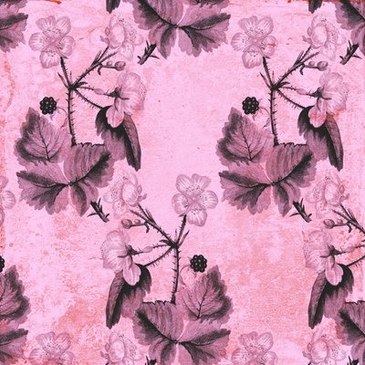 Brombeerblüten von Andrew Watson