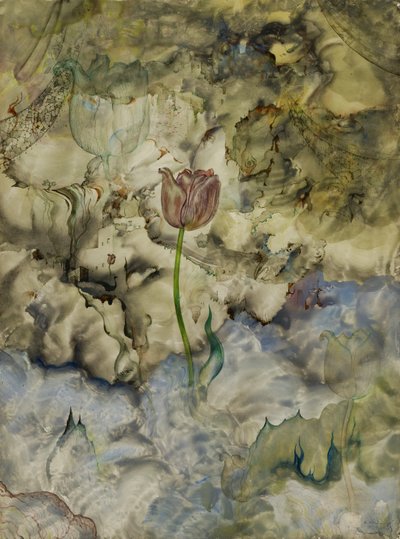 Entstehung von Andrey Avinoff