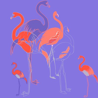 Flamingos von Anna Platts