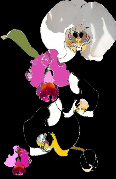 Orchidee von Anna Platts