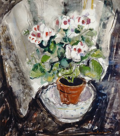 Pelargonie von Anne Redpath