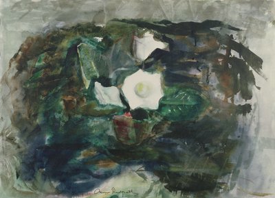 Weiße Gloxinie von Anne Redpath