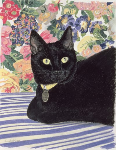 Schwarze Katze von Anne Robinson