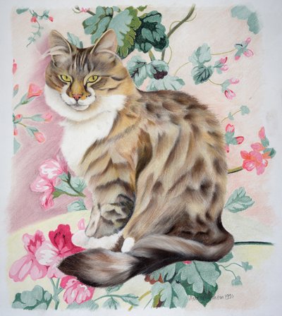 Langhaarige getigerte Katze von Anne Robinson