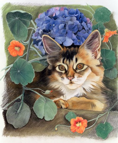 Sootsy mit Hortensie von Anne Robinson