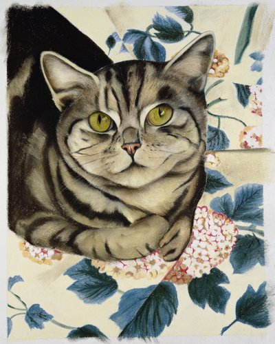 Getigerte Katze von Anne Robinson