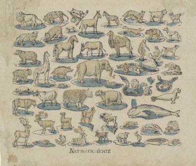 Tiere von Anonymous