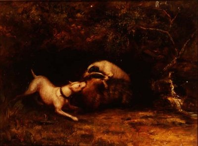 Hunde, die einen Dachs hetzen, ca. 1870 von Anonymous