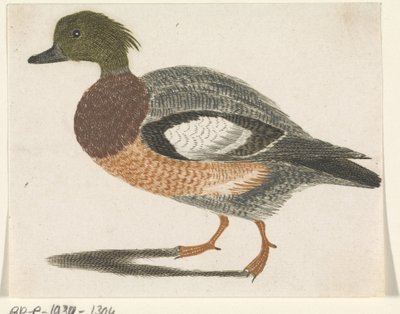 Ente nach links von Anonymous