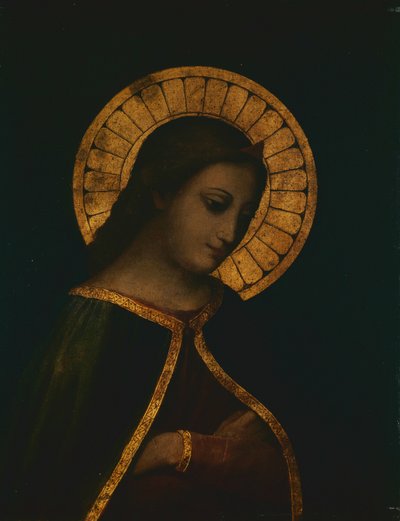 Madonna von Anonymous