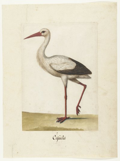 Storch (Lombard Album) von Anonymous