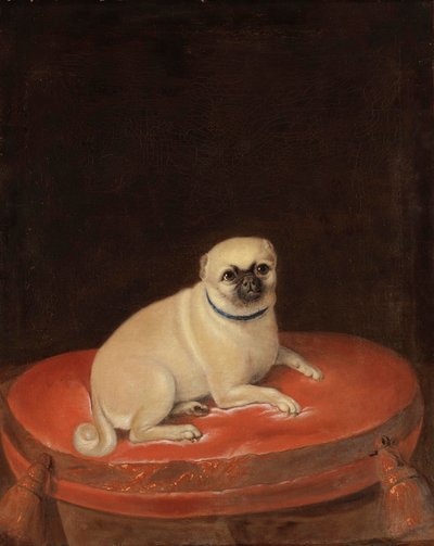Mops von Anonymous