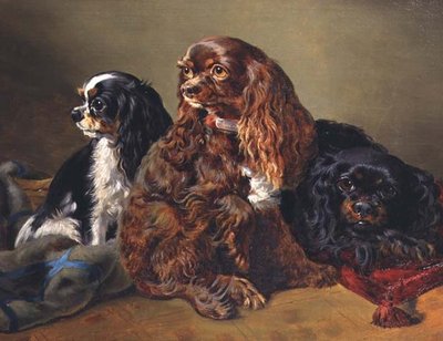 King Charles Spaniels von Anonymous Anonymous