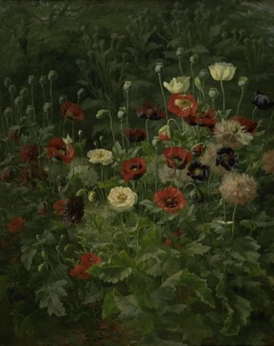 Mohnblumen von Anthonie Christensen